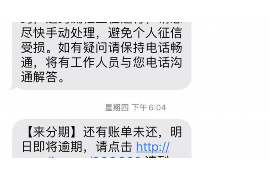 利辛为什么选择专业追讨公司来处理您的债务纠纷？